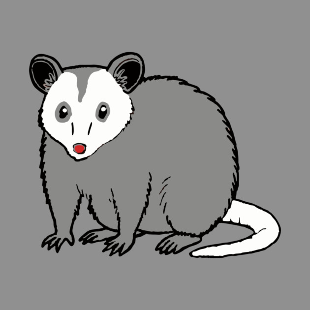 Possum — Subtle Funny Wildlife by DonWillisJrArt