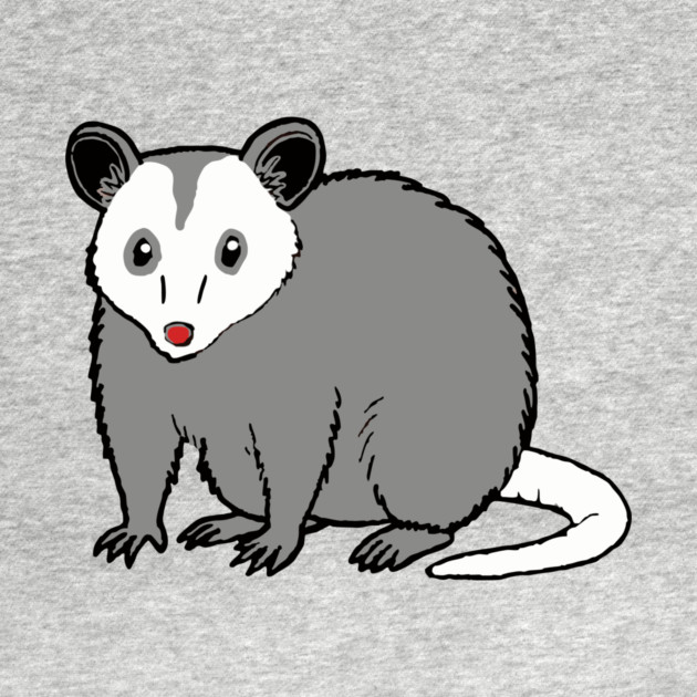 Possum — Subtle Funny Wildlife by DonWillisJrArt