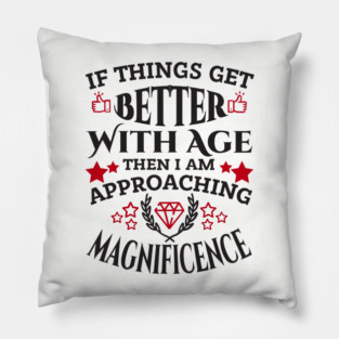 Things Get Better With Age Sassy Grown Up Confidence Pillow