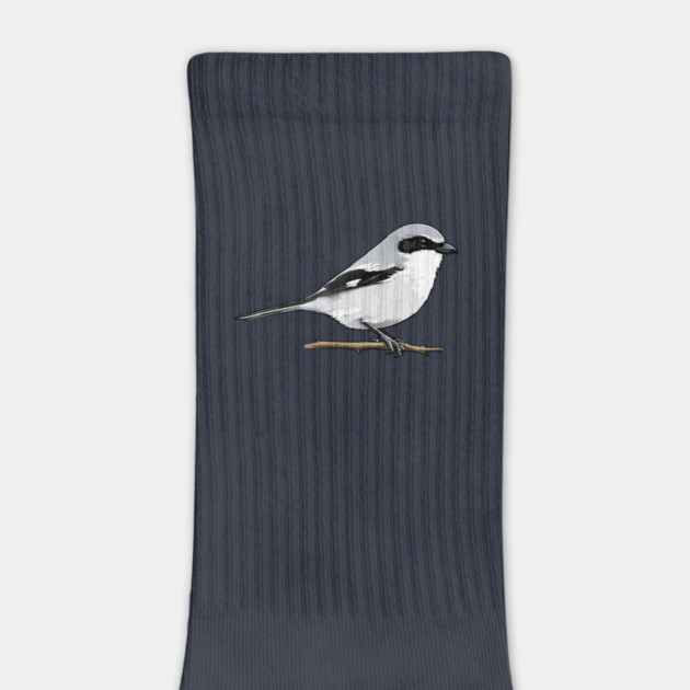 Loggerhead Shrike Bird Illustration | Minimal Wildlife Art by DonWillisJrArt