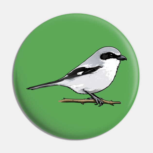 Loggerhead Shrike Bird Illustration | Minimal Wildlife Art Pin by DonWillisJrArt