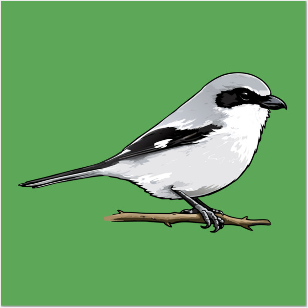 Loggerhead Shrike Bird Illustration | Minimal Wildlife Art Wall Art by DonWillisJrArt
