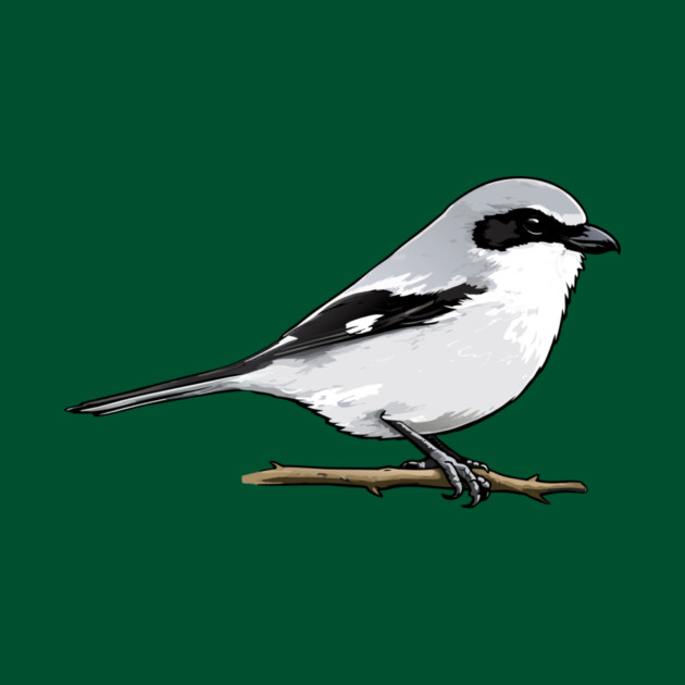 Loggerhead Shrike Bird Illustration | Minimal Wildlife Art by DonWillisJrArt