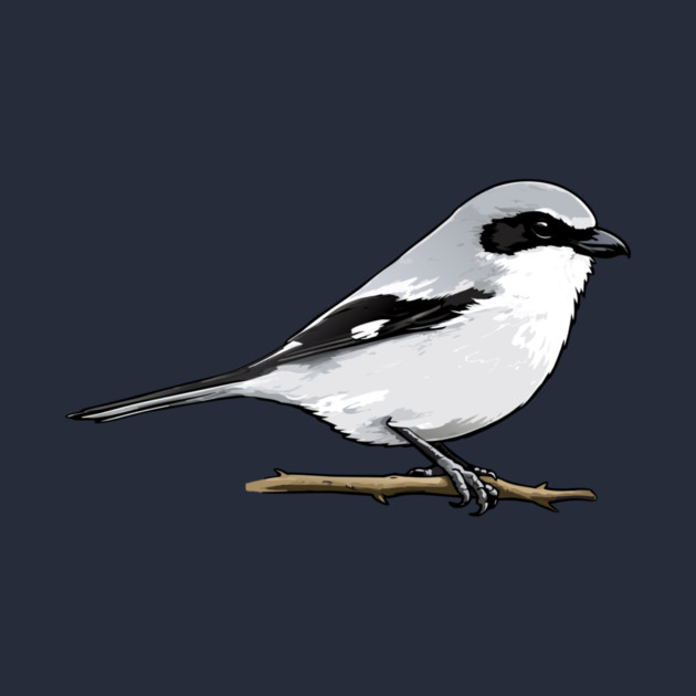 Loggerhead Shrike Bird Illustration | Minimal Wildlife Art by DonWillisJrArt