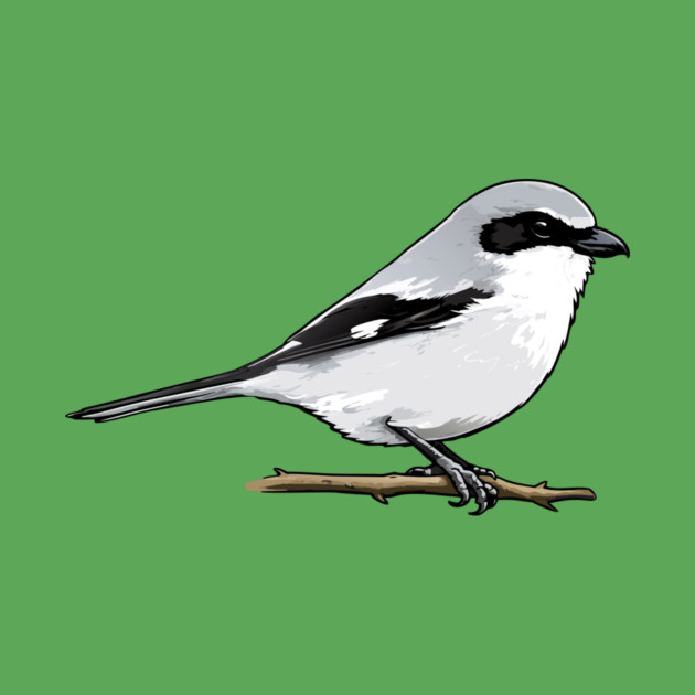 Loggerhead Shrike Bird Illustration | Minimal Wildlife Art by DonWillisJrArt