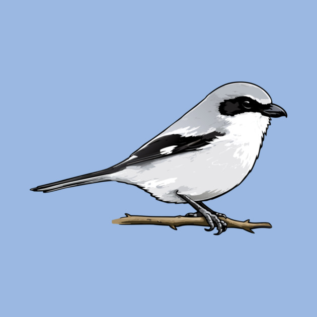Loggerhead Shrike Bird Illustration | Minimal Wildlife Art by DonWillisJrArt