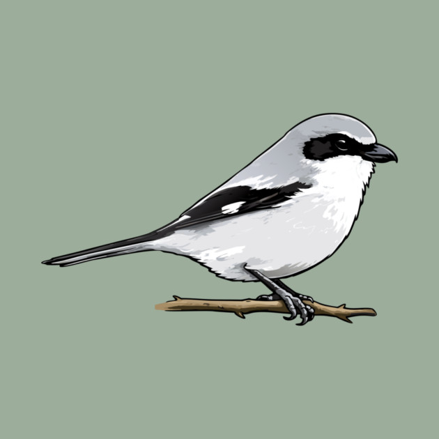 Loggerhead Shrike Bird Illustration | Minimal Wildlife Art by DonWillisJrArt