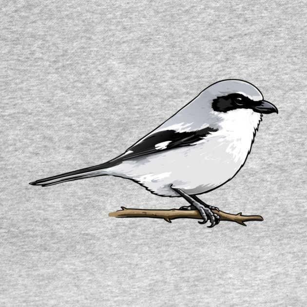 Loggerhead Shrike Bird Illustration | Minimal Wildlife Art by DonWillisJrArt