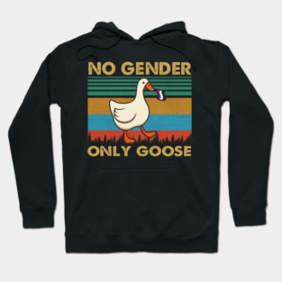 Chaos Identity No Gender Only Goose Sunset Vintage Hoodie