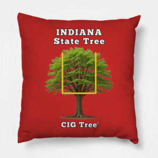 Cignetti Indiana Football Pillow