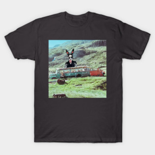 The Passenger Who Refused the Route T-Shirt