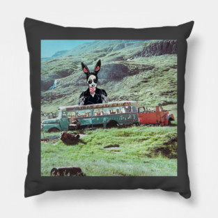 The Passenger Who Refused the Route Pillow