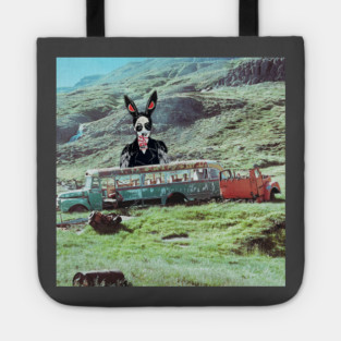 The Passenger Who Refused the Route Tote