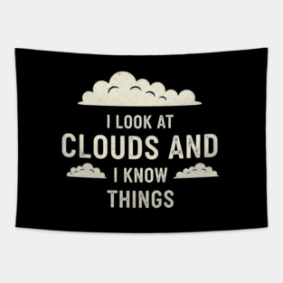 Meteorologist Look At Clouds And I Know Things Weather Forecast Slogan Tapestry