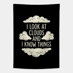 Meteorologist Cloud Watching Weather Forecaster Knowledge Slogan Tapestry
