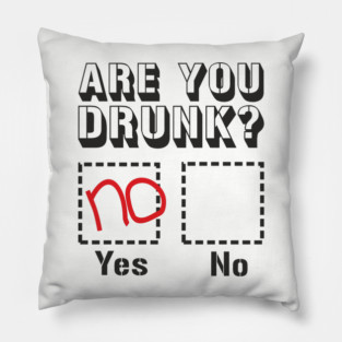 Are You Drunk Poor Decisions Drinking Pun Pillow