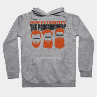 Software Dev Programmer Funny Beard Levels Hoodie