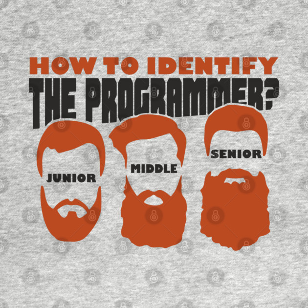 Software Dev Programmer Funny Beard Levels by Anticorporati