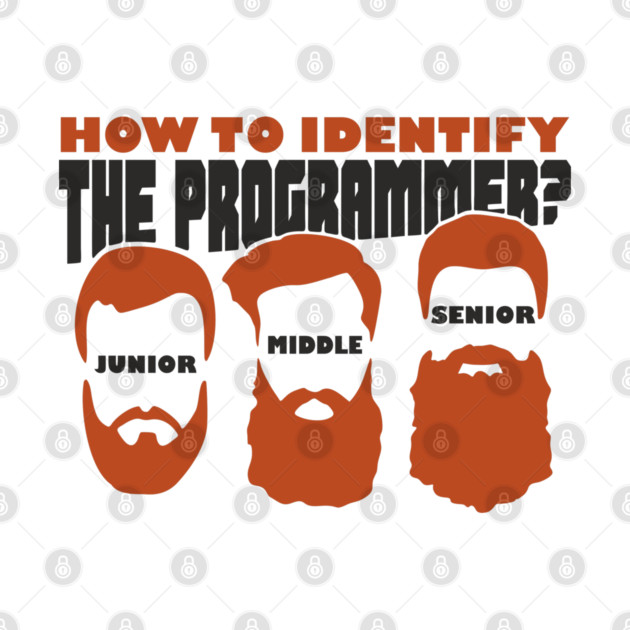 Software Dev Programmer Funny Beard Levels by Anticorporati