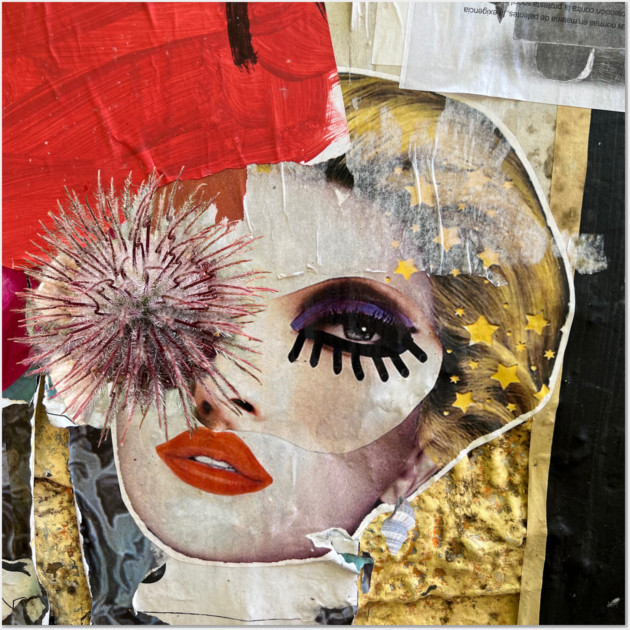 She’s Seen Enough, Thanks Wall Art by Sigridur Dögg's Store