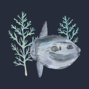 Ocean Sunfish