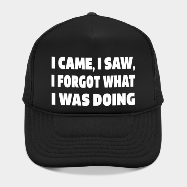 Forgetful Quote Tee - Absentminded Humor Apparel "I CAME, I SAW, I FORGOT WHAT I WAS DOING" by OUTFITPAW
