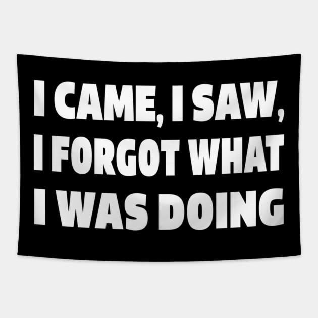 Forgetful Quote Tee - Absentminded Humor Apparel "I CAME, I SAW, I FORGOT WHAT I WAS DOING" Tapestry by OUTFITPAW