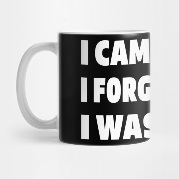 Forgetful Quote Tee - Absentminded Humor Apparel "I CAME, I SAW, I FORGOT WHAT I WAS DOING" by OUTFITPAW
