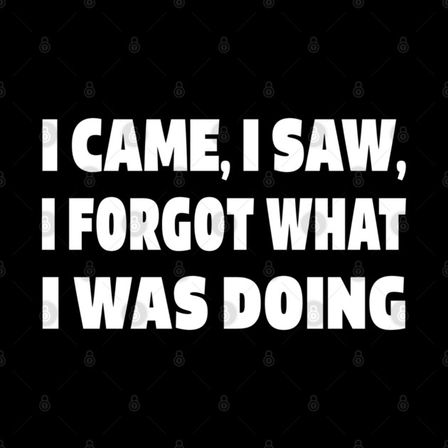 Forgetful Quote Tee - Absentminded Humor Apparel "I CAME, I SAW, I FORGOT WHAT I WAS DOING" by OUTFITPAW