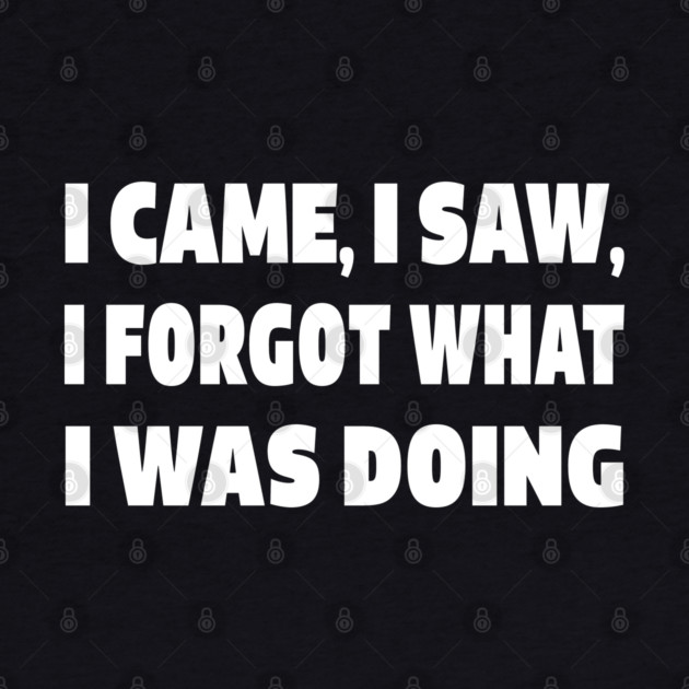 Forgetful Quote Tee - Absentminded Humor Apparel "I CAME, I SAW, I FORGOT WHAT I WAS DOING" by OUTFITPAW