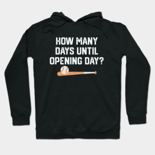 How Many Days Til Spring Training? Hoodie