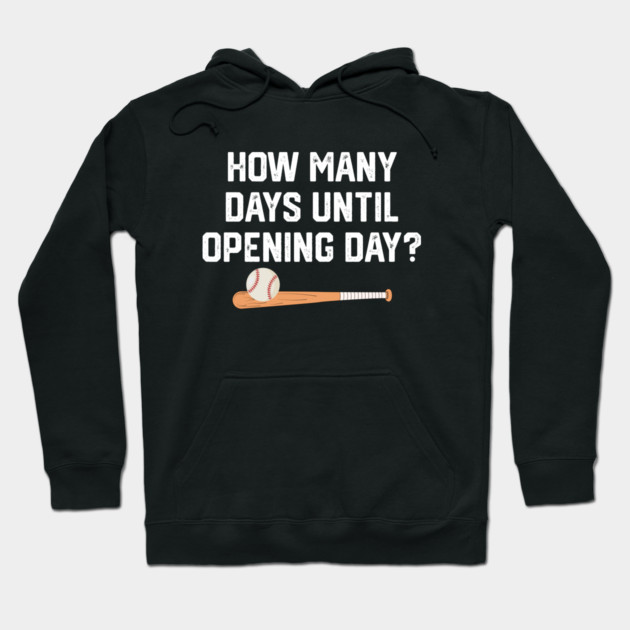 How Many Days Til Spring Training? Hoodie by Litehouse Tees