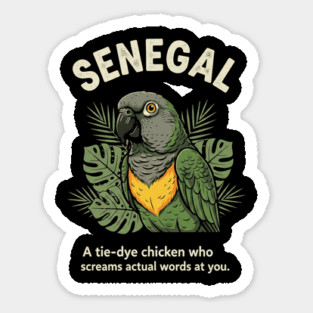 Senegal Parrot Tie Dye Chicken Screams Words Funny Bird Birder Slogan Sticker