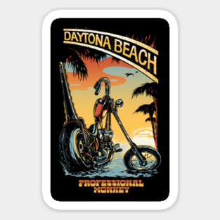 Daytona Brown Sugar Magnet