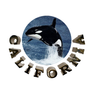 California Tees and stickers T-Shirt