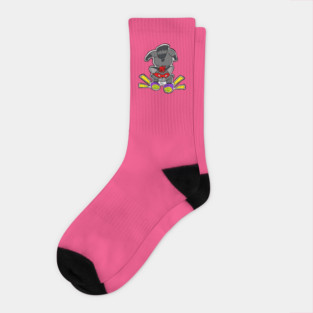 Ninja Raccoon Socks