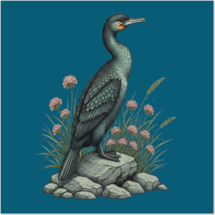 Vintage Coastal Double Crested Cormorant Bird Art Posters and Art