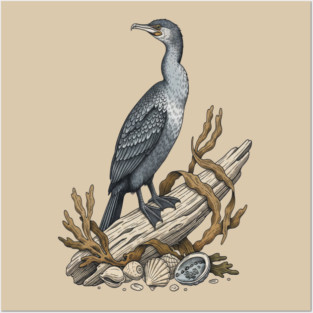 Vintage Cormorant Coastal Driftwood Art Posters and Art