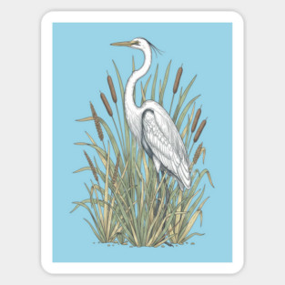 Vintage Great White Egret Wetland Botanical Art Magnet