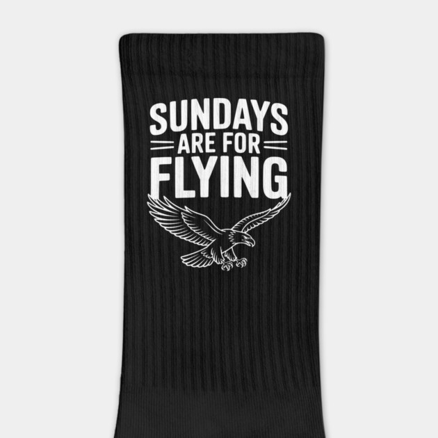 Sundays are for Flying by Frank Ring