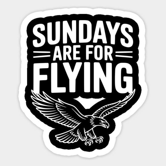 Sundays are for Flying Magnet by Frank Ring