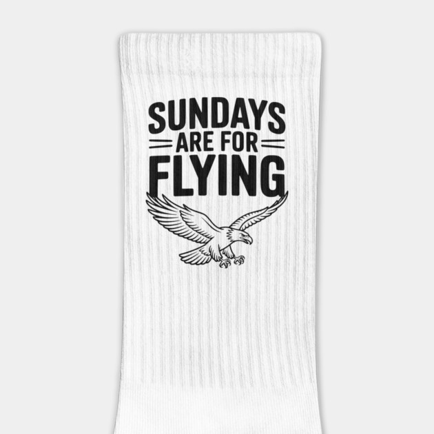 Sundays are for Flying by Frank Ring