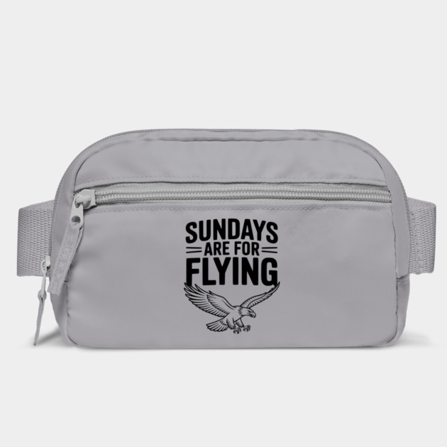 Sundays are for Flying by Frank Ring