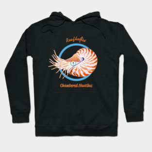 Chambered Nautilus Hoodie