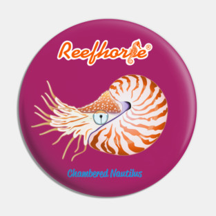 Chambered Nautilus 2 Pin