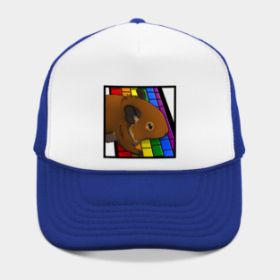 Rainbow Computer Degu Hat