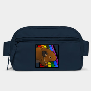 Rainbow Computer Degu Bag