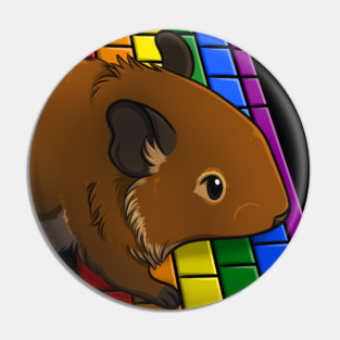 Rainbow Computer Degu Pin