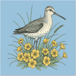 Sandpiper Coastal Botanical Art Posters and Art