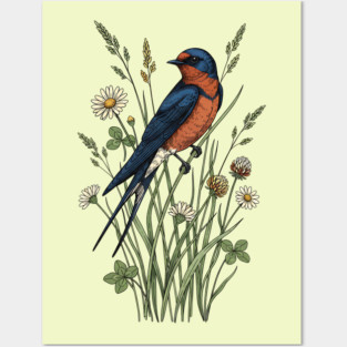 Vintage Barn Swallow Wildflower Art Posters and Art